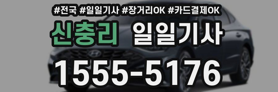 신충리 일일기사