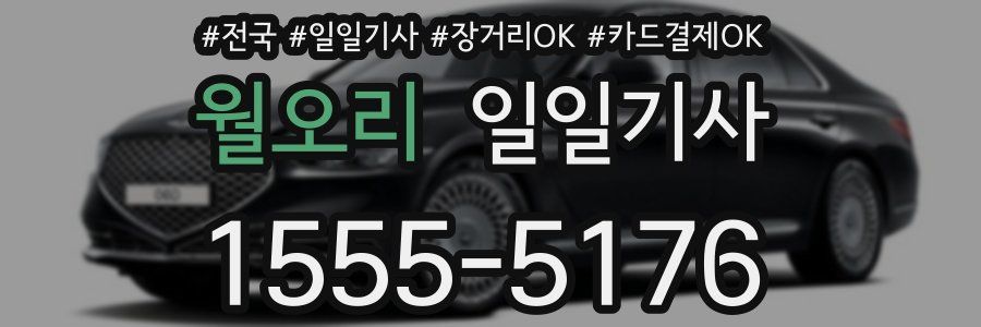 월오리 일일기사