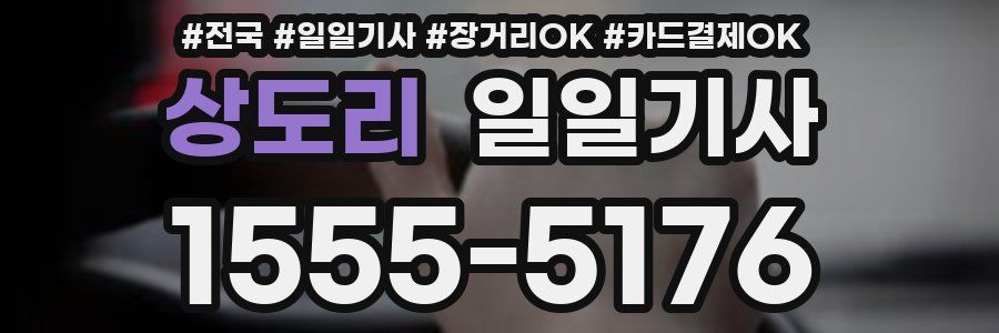 상도리 일일기사