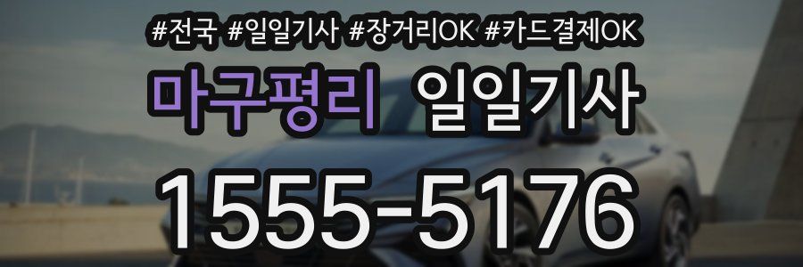 마구평리 일일기사