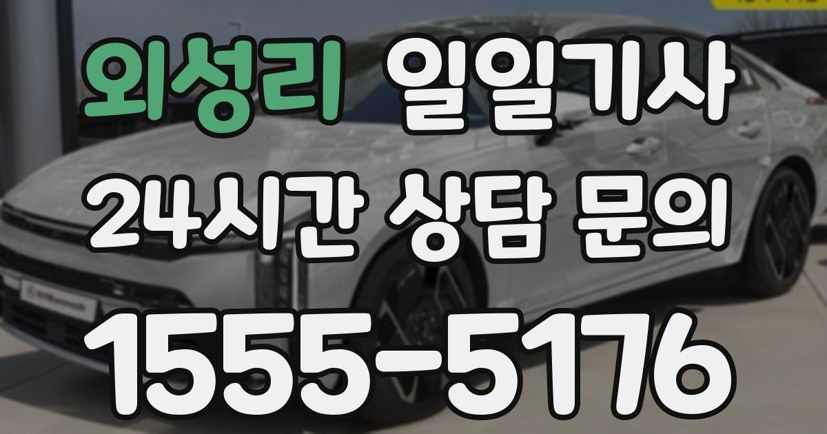 일일대리기사