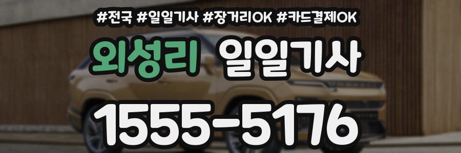 외성리 일일기사