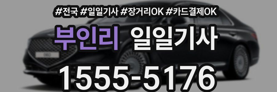 부인리 일일기사
