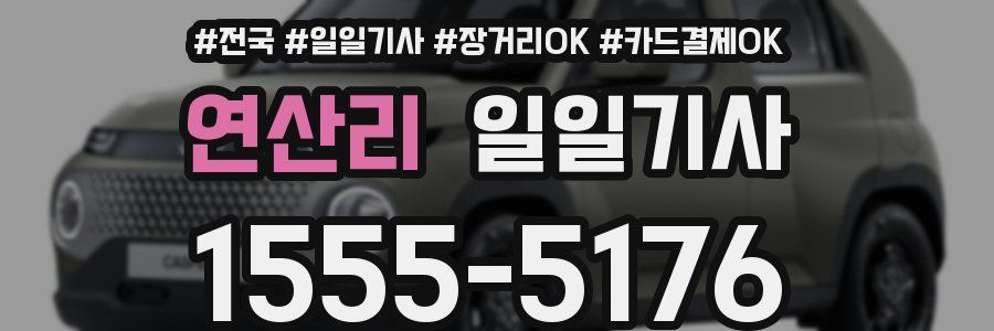 연산리 일일기사