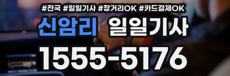 신암리 일일기사