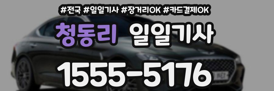 청동리 일일기사