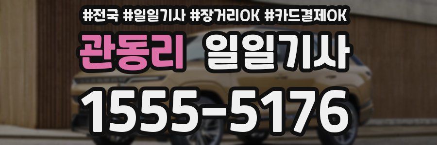 관동리 일일기사