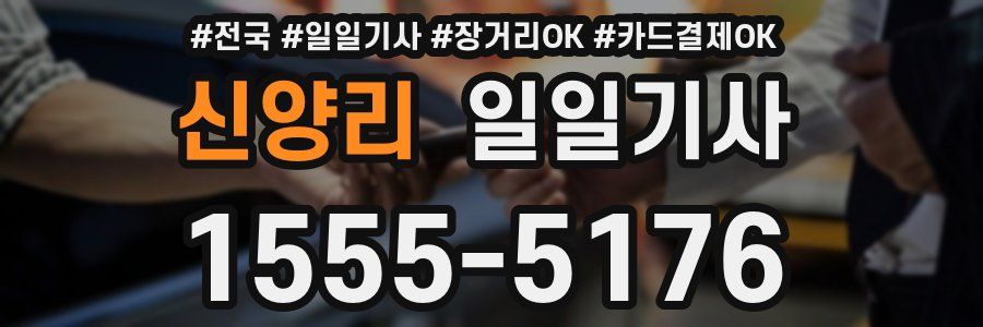 신양리 일일기사