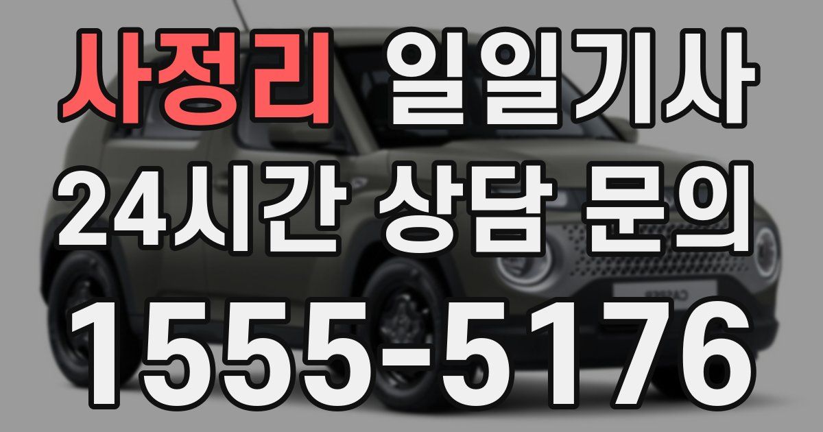 일일대리기사