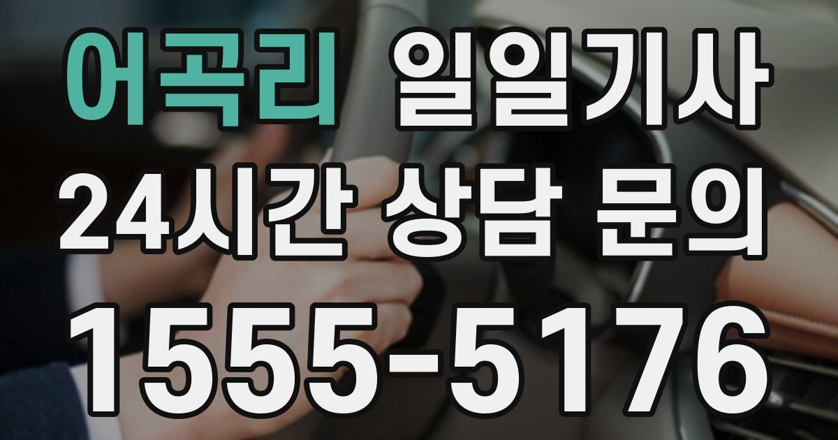 일일대리기사