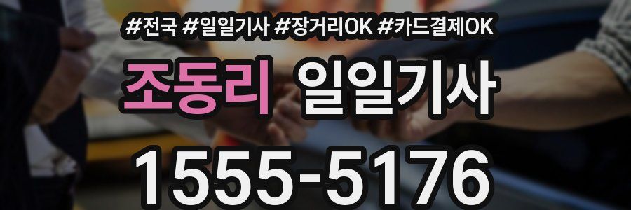 조동리 일일기사