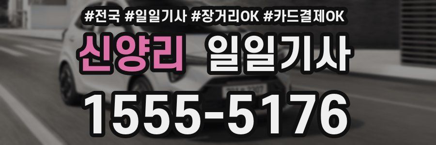 신양리 일일기사