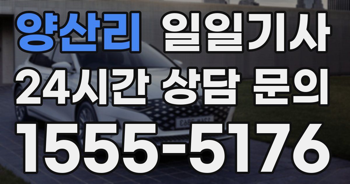 일일대리기사