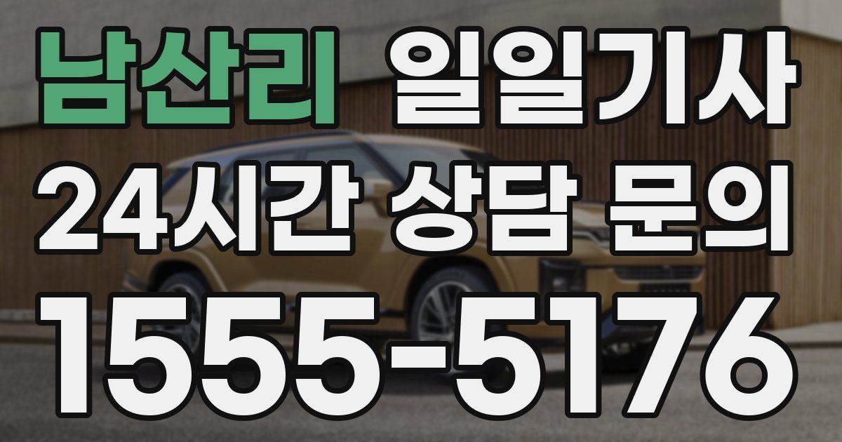 일일대리기사
