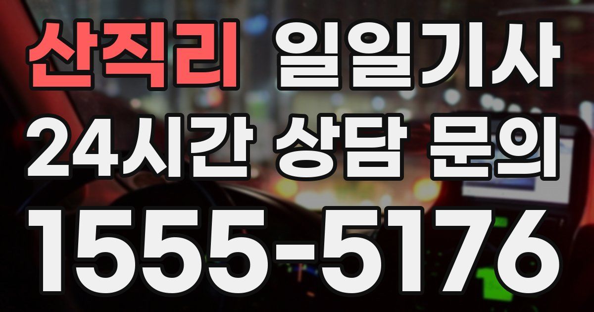 일일대리기사