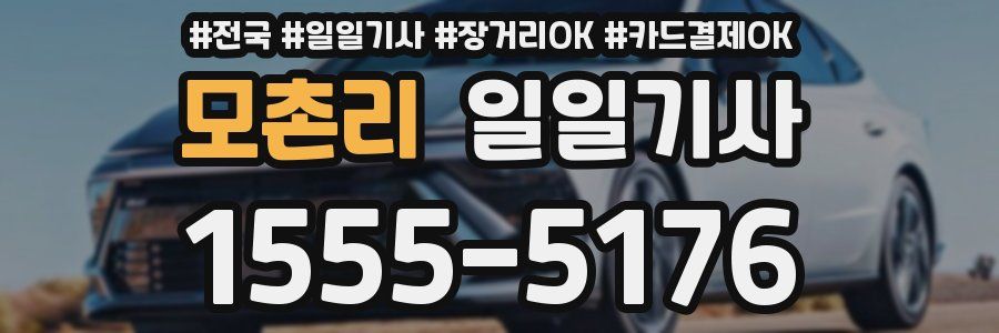 모촌리 일일기사