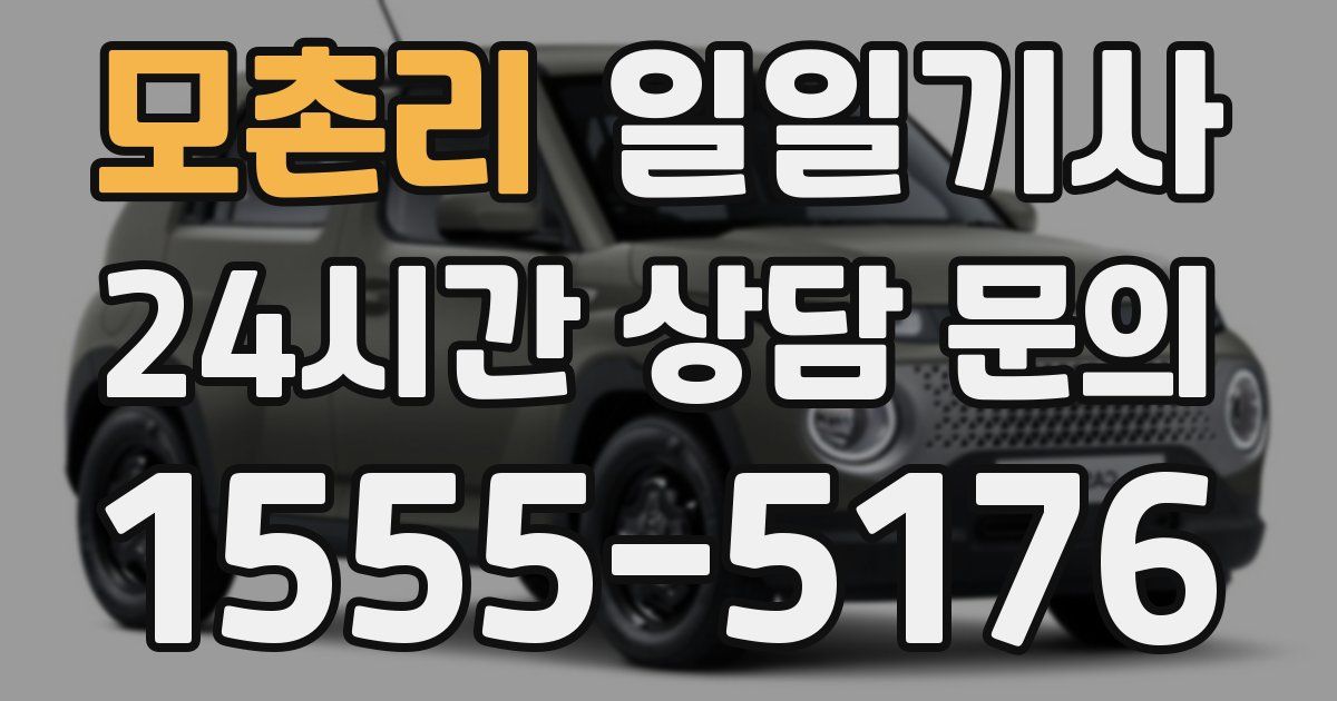 일일대리기사