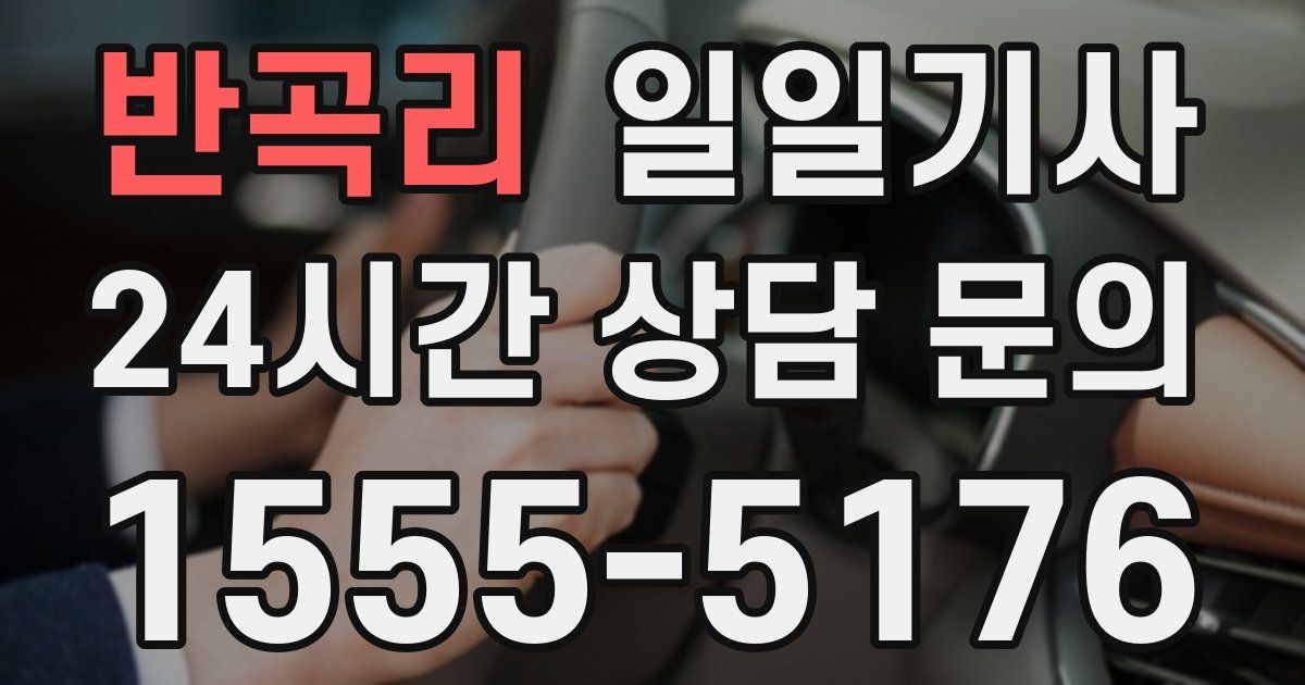 일일대리기사
