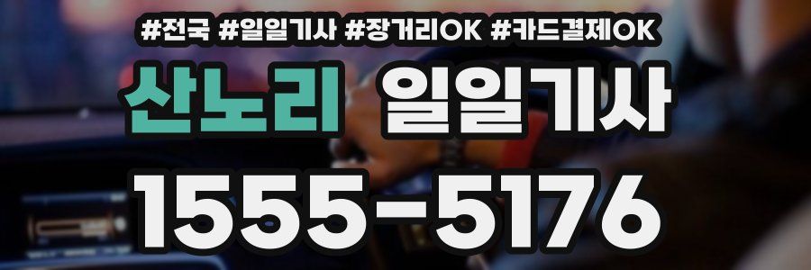 산노리 일일기사