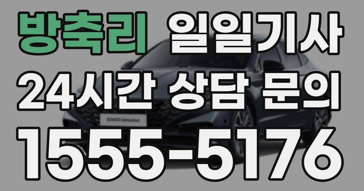 일일대리기사