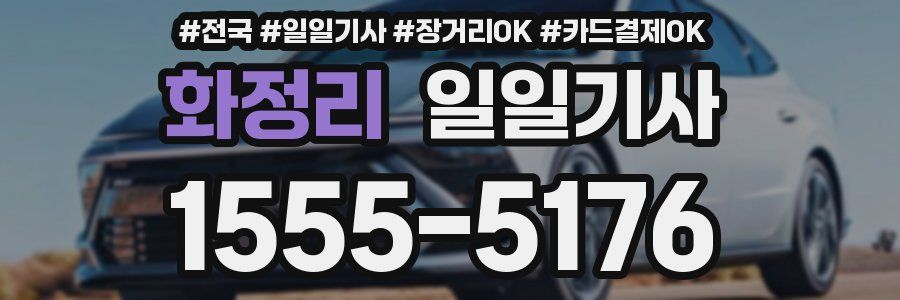 화정리 일일기사