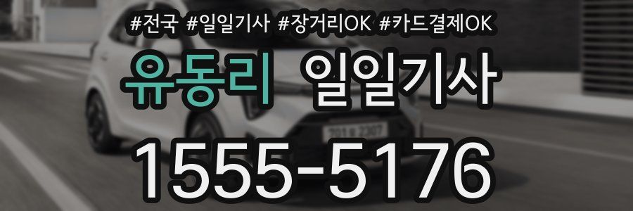 유동리 일일기사