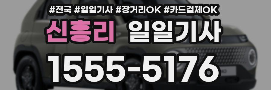 신흥리 일일기사