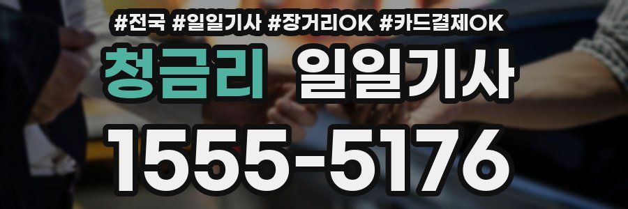 청금리 일일기사