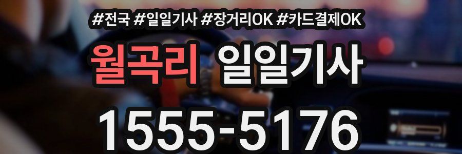 월곡리 일일기사