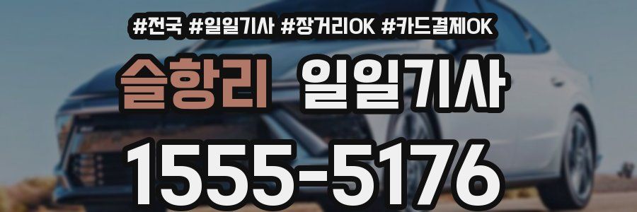 슬항리 일일기사