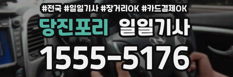 당진포리 일일기사