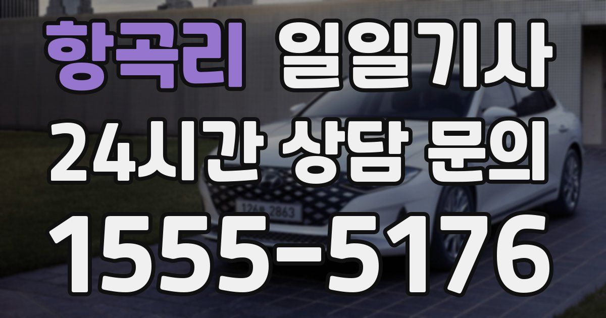 일일대리기사