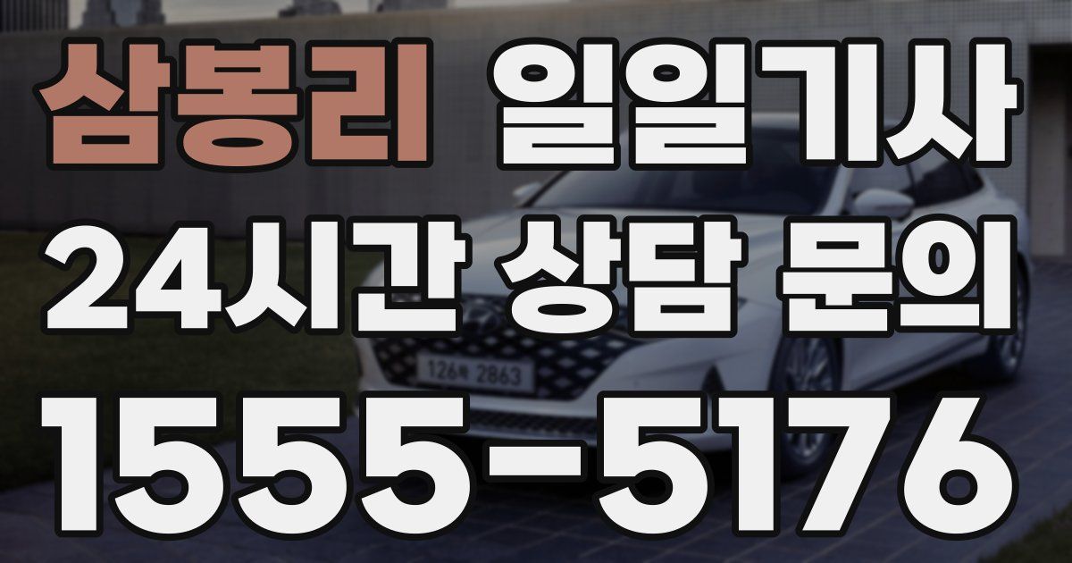 일일대리기사