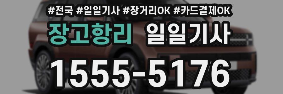 장고항리 일일기사