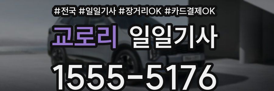 교로리 일일기사