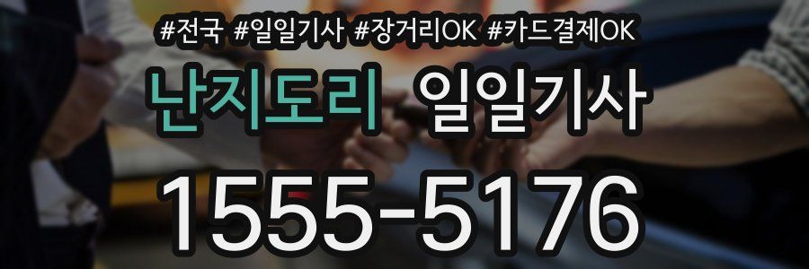 난지도리 일일기사