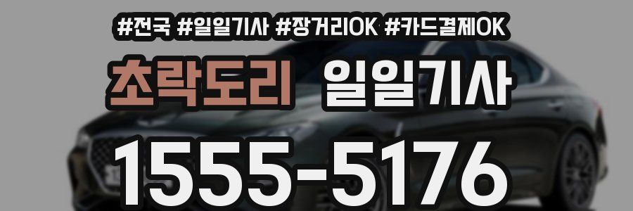 초락도리 일일기사