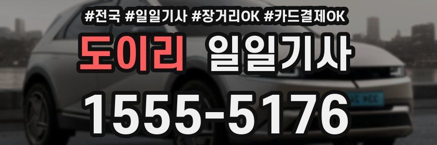 도이리 일일기사