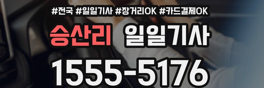 승산리 일일기사