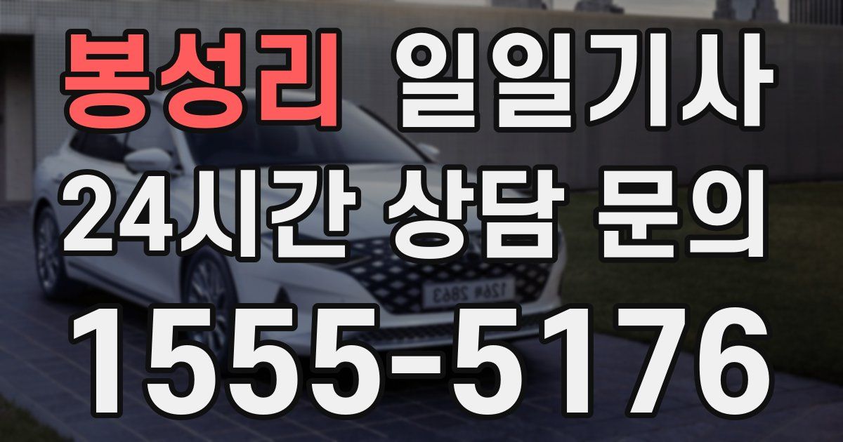 일일대리기사