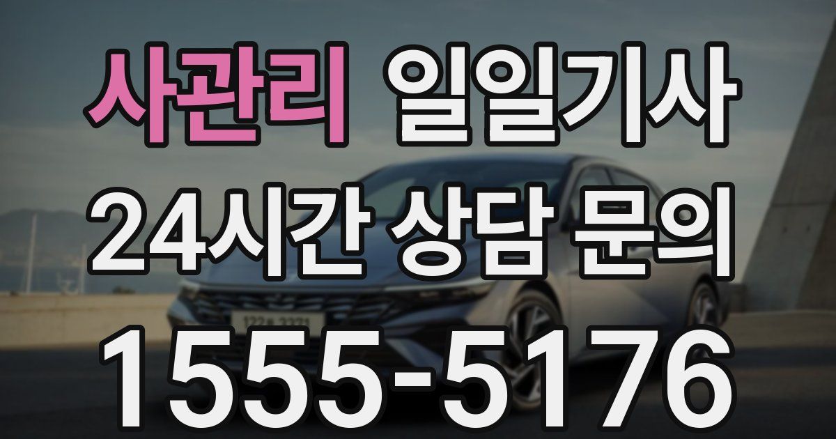 일일대리기사