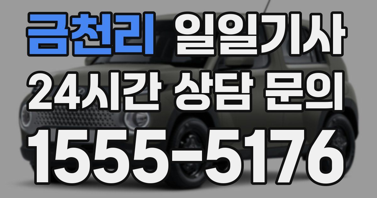일일대리기사