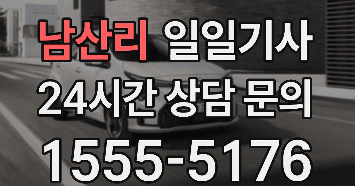 일일대리기사