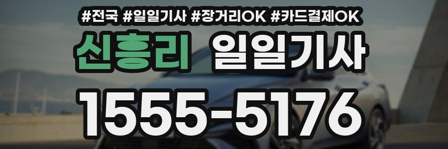 신흥리 일일기사