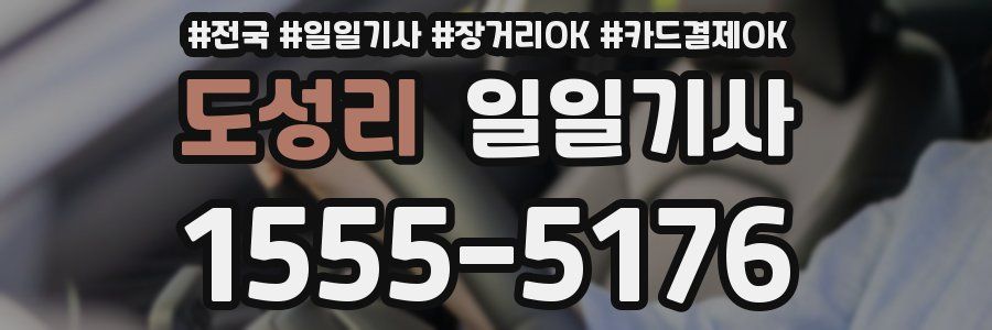 도성리 일일기사