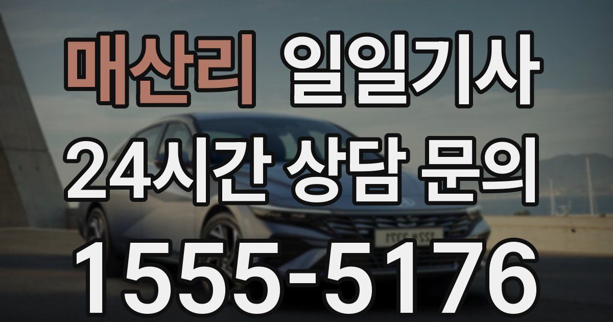 일일대리기사