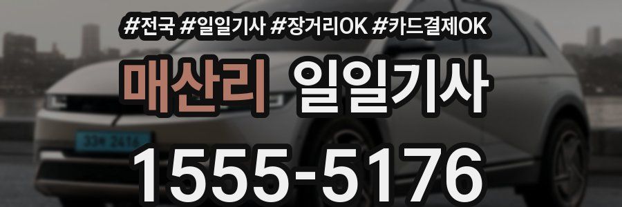 매산리 일일기사
