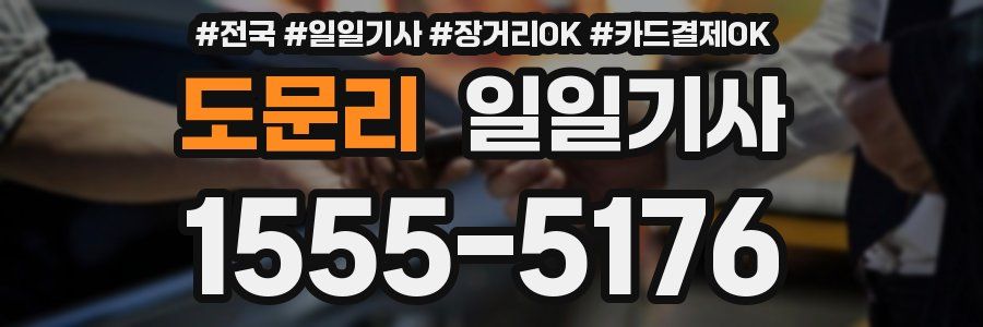 도문리 일일기사