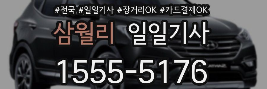 삼월리 일일기사