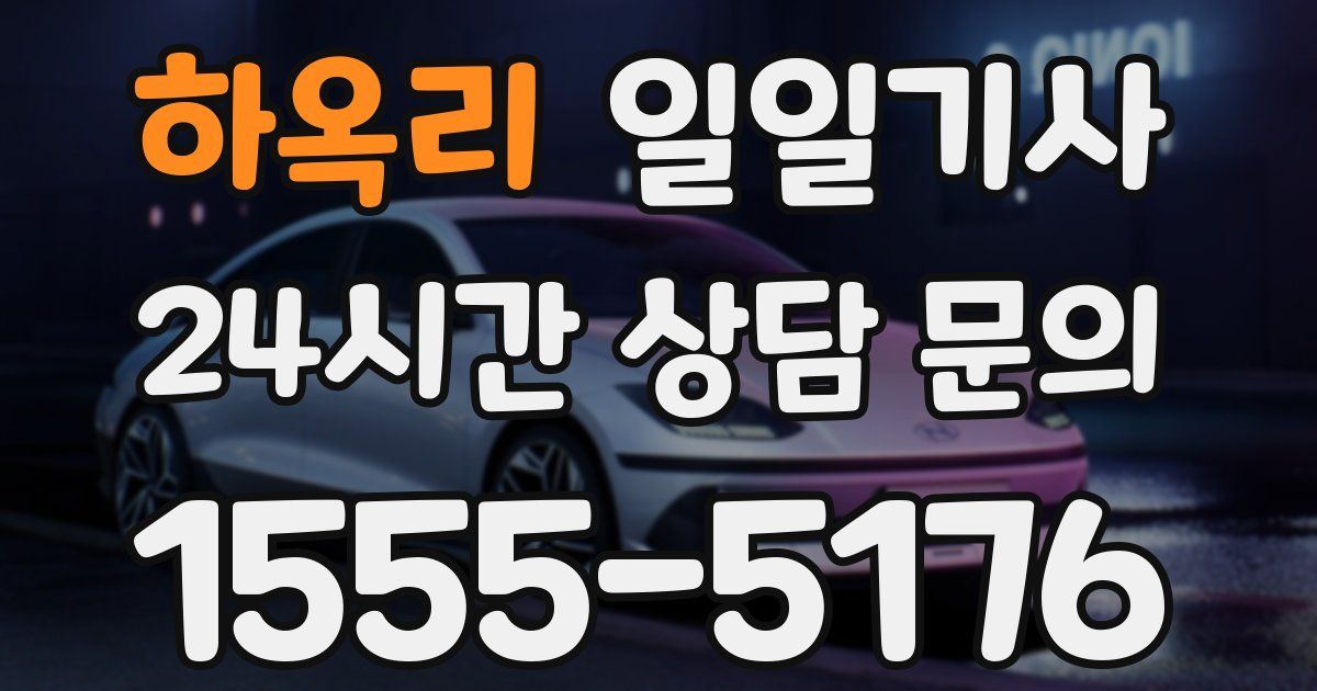 일일대리기사